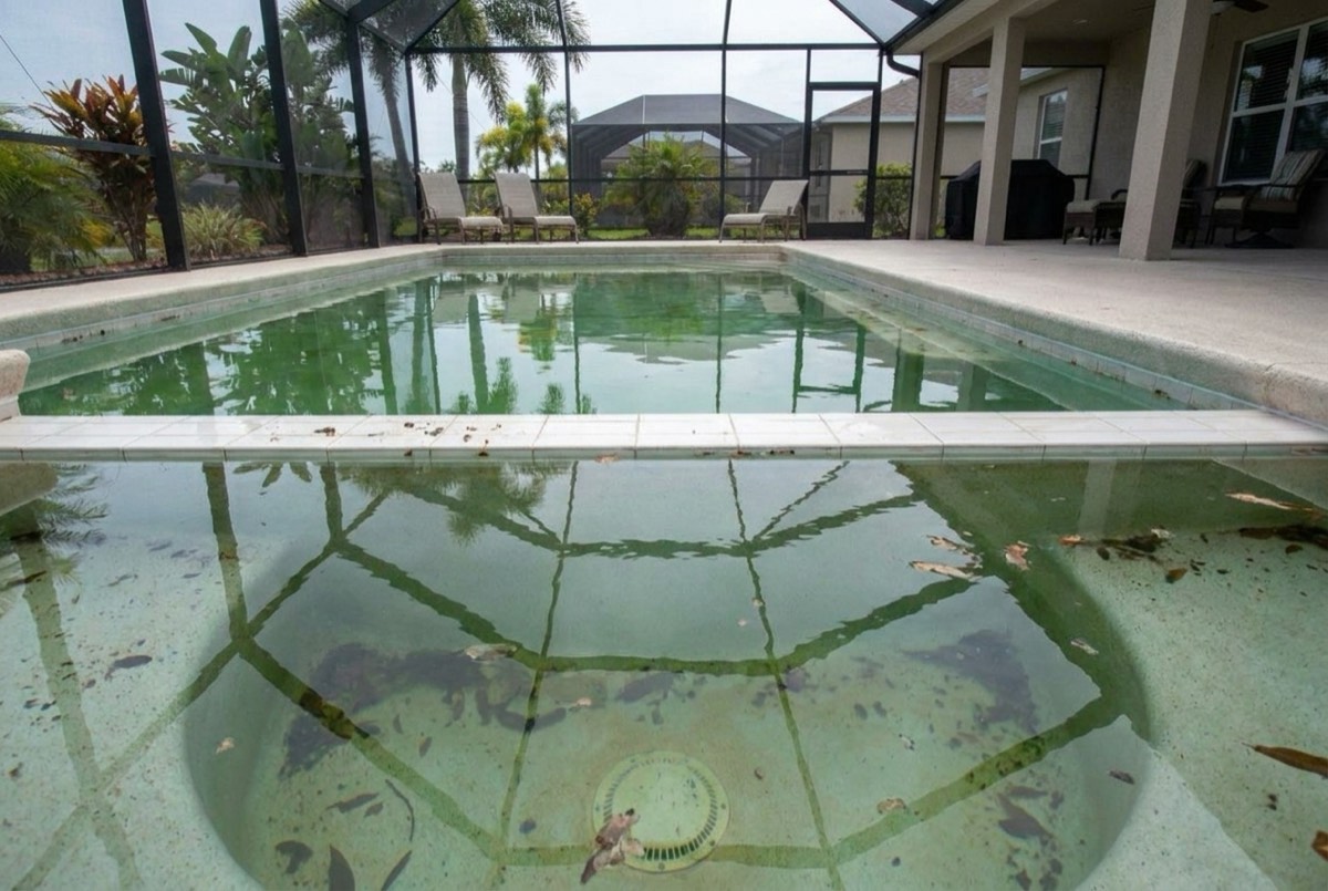 The same screened pool with green algae water and leaves floating on the surface